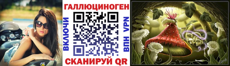 Купить  Беломорск  Псилоцибиновые грибы Psilocybine cubensis 